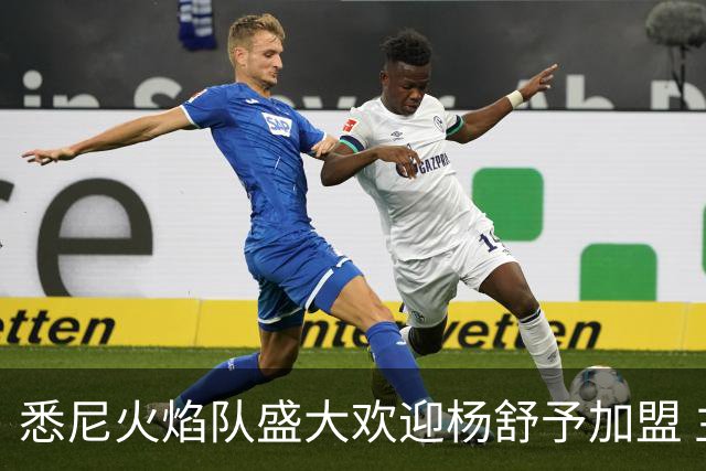 悉尼火焰队盛大欢迎杨舒予加盟 主帅赞其才华横溢